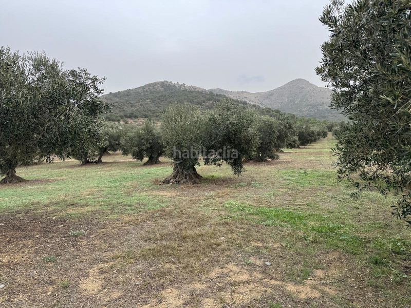Foto fb950a0e-9a11-4f1b-8b33-86045d69d08c. Finca rústica a Centre Roses