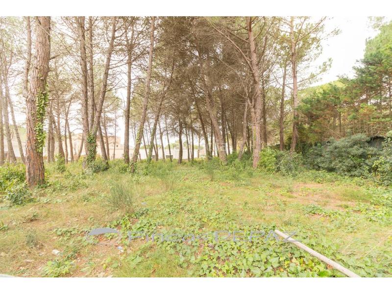 Foto a3767c41-4d55-4853-a691-1b56b066a332. Finca rústica a Begues