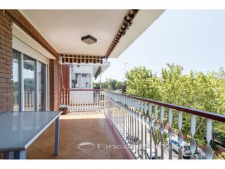 Penthouse  Avenida 304. Soleado, luminoso y con terraza en montemar bajo