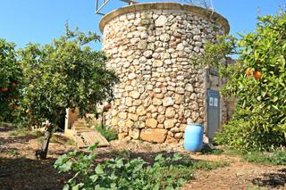 Finca rústica a Muro. Finca rústica con árboles frutales en muro, mallorca