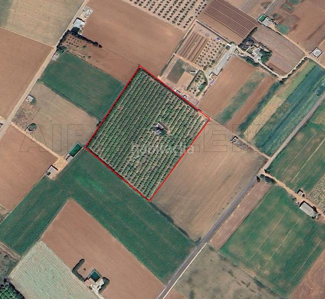 Foto 87f6aa52-24f8-431f-9d72-a6e2ba82787e. Propriété dans Muro