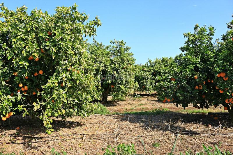 Foto f20690ec-b895-4f8b-acde-d8907efe7721. Propriété dans Muro