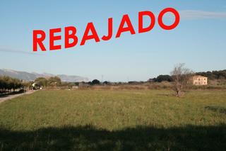 Residential Plot in Port d´Alcúdia-Platja dÁlcúdia. Tranquila parcela.