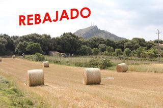 Terreny residencial a Ciutat d´Alcúdia. Tranquila parcela.