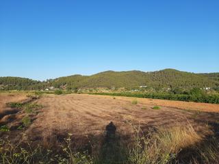 Finca rústica  Calle pla, des. Terreno rústico agrícola de tierra roja en zona muy tranquila.