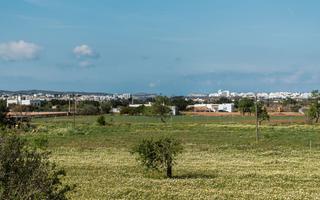 Masía  Camí de can tomàs. Finca con casa pròxima a ibiza y sant antoni de portmany.
