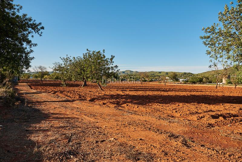 Foto a8c0d55d-fd53-48b4-aeae-4e4af3e0c729. Finca rústica a Santa Eulària des riu Santa Eulària
