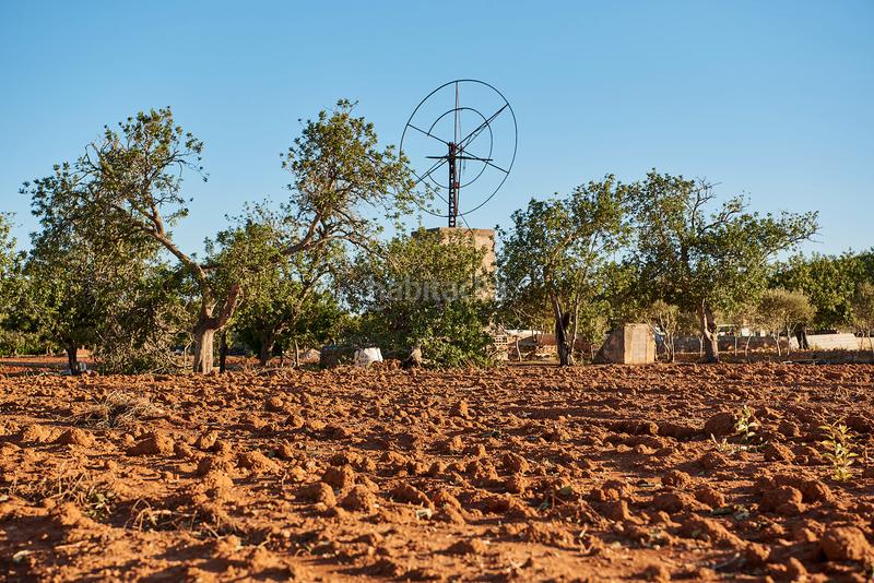 Foto ca0f62f2-d0fb-43b5-89b7-05845d24bf12. Finca rústica a Santa Eulària des riu Santa Eulària