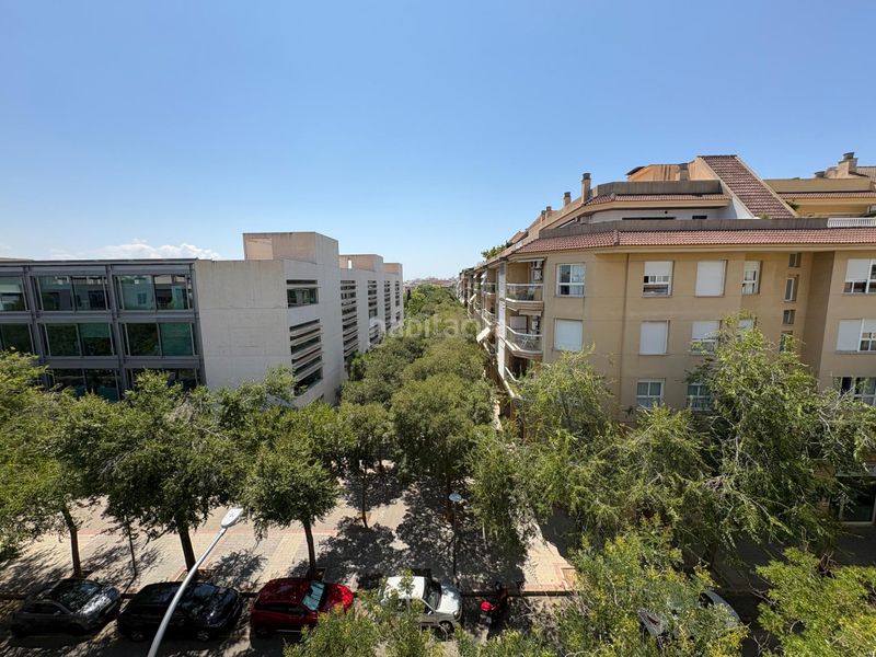 Foto 12988862-1e57-4931-bdf0-95e6500df0a8. Pis a Cas Capiscol Palma de Mallorca