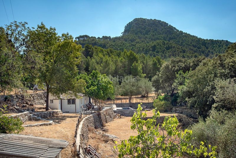 Foto 16d805c1-9cb5-440f-b5a8-d77a004efeae. Masia amb aparcament a Puigpunyent