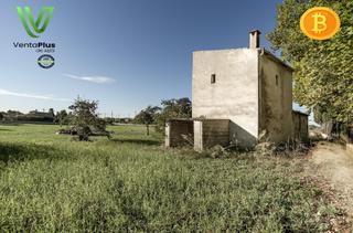 Masia  Diseminados varios. Finca rústica en campanet con agua, luz y pozo