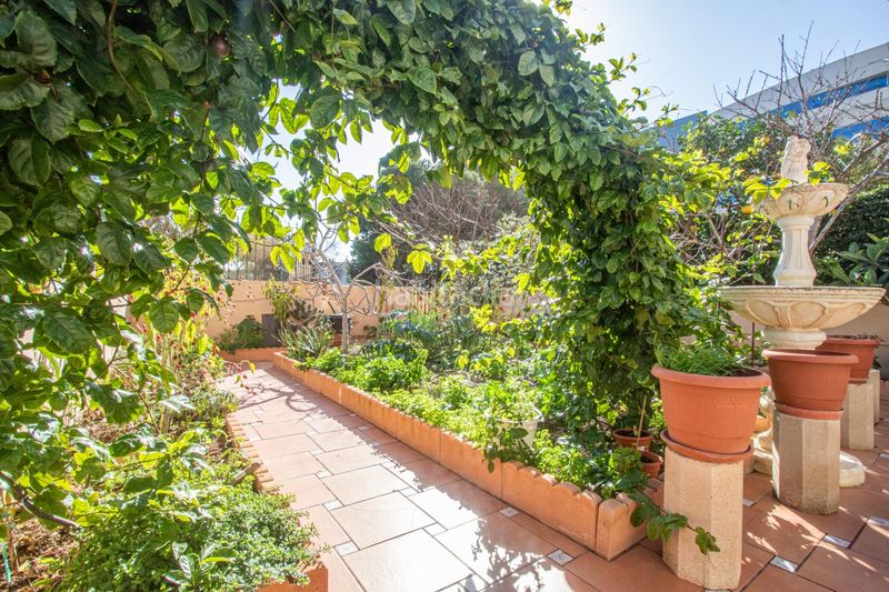 Foto 83dac3a5-83b3-4470-b272-39db85198572. Planta baixa amb aparcament a Can Pastilla Palma de Mallorca