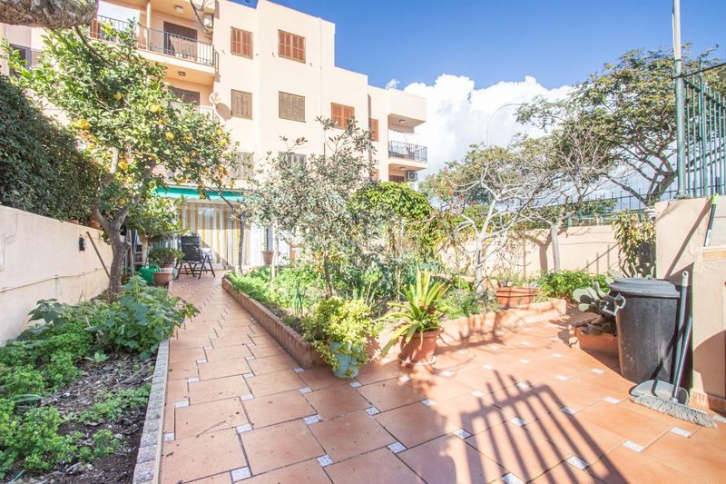 Foto 9a723f42-228f-4390-a999-86114c95e1ed. Planta baixa amb aparcament a Can Pastilla Palma de Mallorca