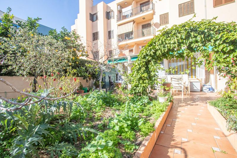 Foto a358b834-3f10-4a9b-a617-50be6884b6fb. Planta baixa amb aparcament a Can Pastilla Palma de Mallorca