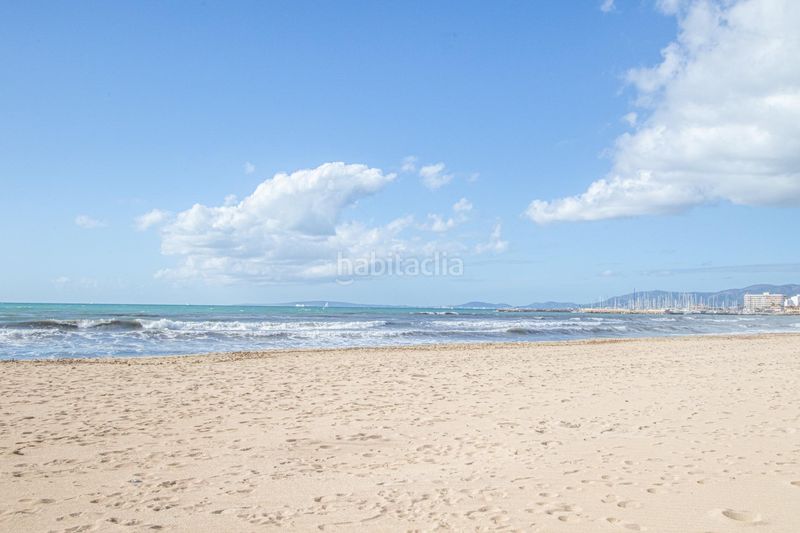 Foto ea1eb1f4-a9fb-43c3-8a0b-81bea55d6012. Planta baixa amb aparcament a Can Pastilla Palma de Mallorca