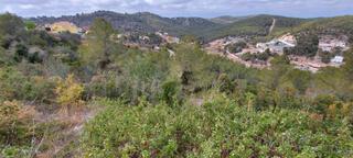 Terreny residencial  Carrer buenavista-els rosers. Parcela en venta en castellet i la gornal.urbanizacion los rosal
