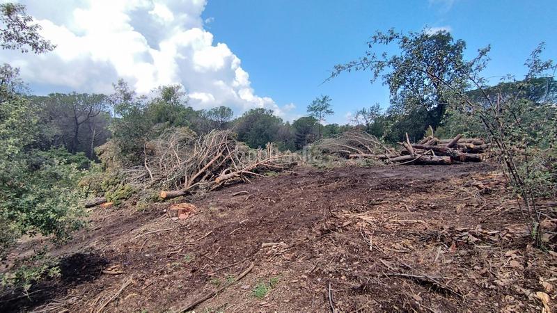 Foto ae615000-651b-411c-a574-e8312a691779. Terreny residencial a de setcases 26 a Seva