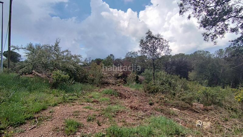 Foto d18db89b-b9c8-4533-b95c-65052ef4e303. Terreny residencial a de setcases 26 a Seva