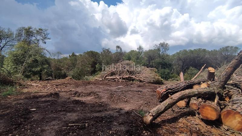 Foto eb7667d7-ecbf-4a4e-a068-7192fc0aa263. Terreny residencial a de setcases 26 a Seva
