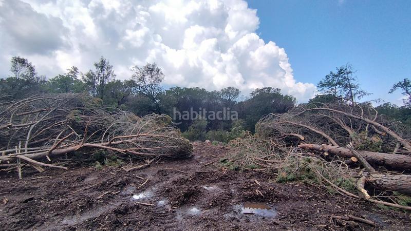Foto ffefd53c-3f76-43c1-9fc7-570d067da2b5. Terreny residencial a de setcases 26 a Seva