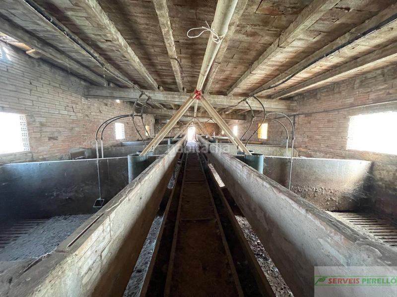 Foto 37c491fe-3657-4652-980c-dedd422c6627. Mas dans Vila-sana