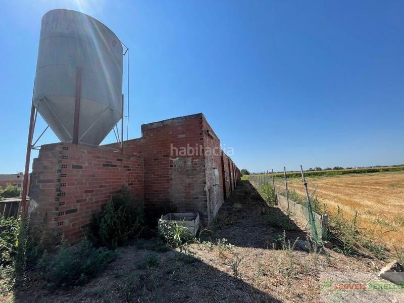 Foto 93aeb23f-a577-4155-915d-6471ea6160e9. Mas dans Vila-sana