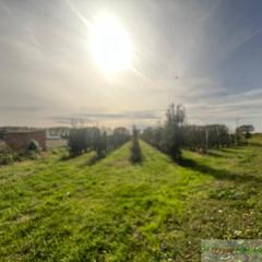 Residential Plot in N/a 78. Golmesterreno