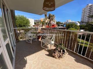 Pis  Avenida magalluf. Apartamento muy cerca de la playa en magalluf calvia