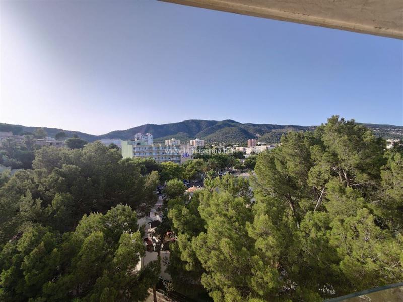 Foto 389b0a03-fb26-4307-8d75-347cd3d666db. Appartement avec chauffage parking dans Palmanova Calvià