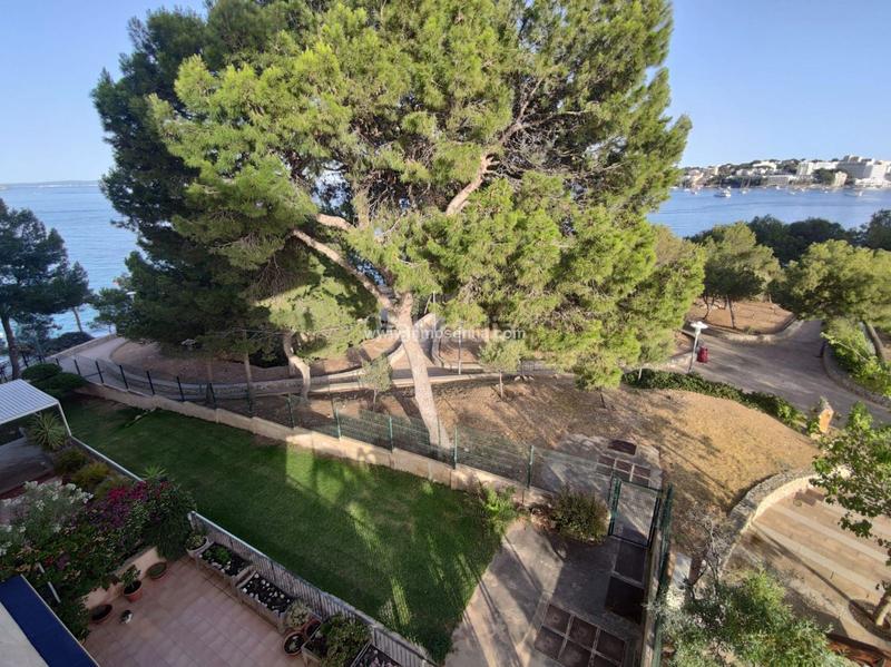 Foto 68a3990a-99b4-4d92-bf08-d009dacfccf8. Appartement avec chauffage parking dans Palmanova Calvià