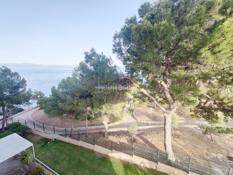 Foto 021d6e5e-fbb9-4e8d-9c56-379e8c9e6ca6. Flat with heating parking in Palmanova Calvià