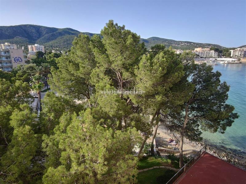 Foto ec6821b3-41b0-435b-bf48-eb1fc34f7111. Pis amb calefacció aparcament a Palmanova Calvià