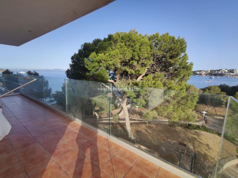 Foto 983c6070-6899-4537-ae18-003a012eca20. Piso en Palmanova Calvià