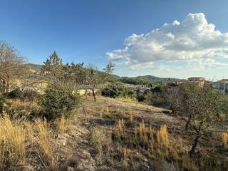 Residential Plot in Calvià Poble. Terreno urbanizabel en zona calvia pueblo