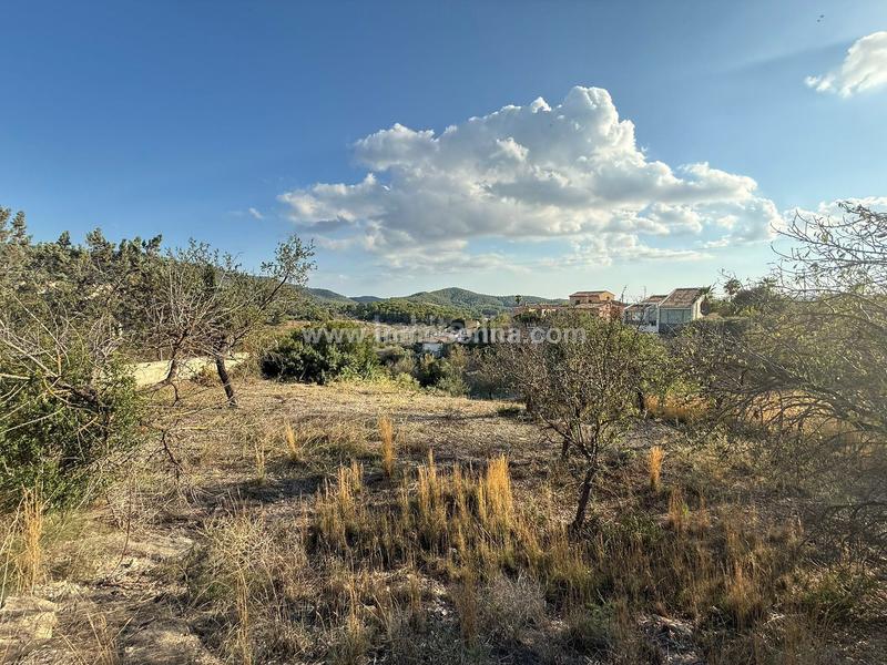 Foto f53e00e8-b1ca-4ee9-bb4d-33d86f4814cd. Terreno residencial terreno urbanizabel en zona calvia pueblo en Calvià