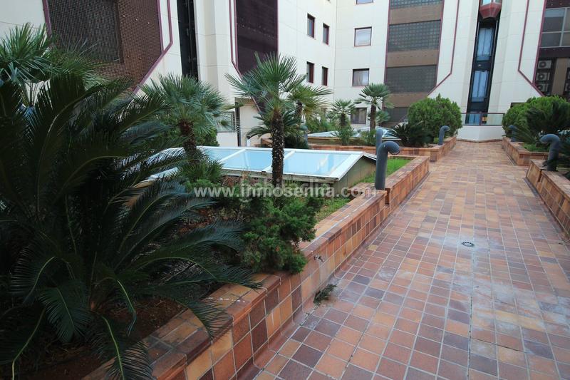 Foto 5f3bc4f7-9356-40fb-a4e2-255b16dbcf43. Office space in Es Camp Redó Palma de Mallorca