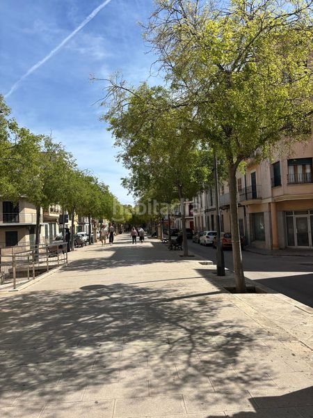 Foto 33d423c2-6c94-4a8e-b9b0-ae2da5c17ebf. Pis a Manacor centre Manacor