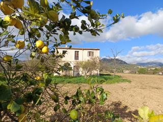 Country house  Diseminado poligono 14. Finca rústica en binissalem
