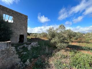 Terreny residencial a Sa Pobla. Finca rústica edificable en sa pobla