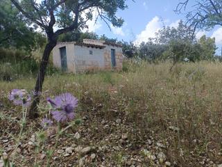 Masia a Son Amonda - Reis Catòlics. Finca rústica con casita en inca