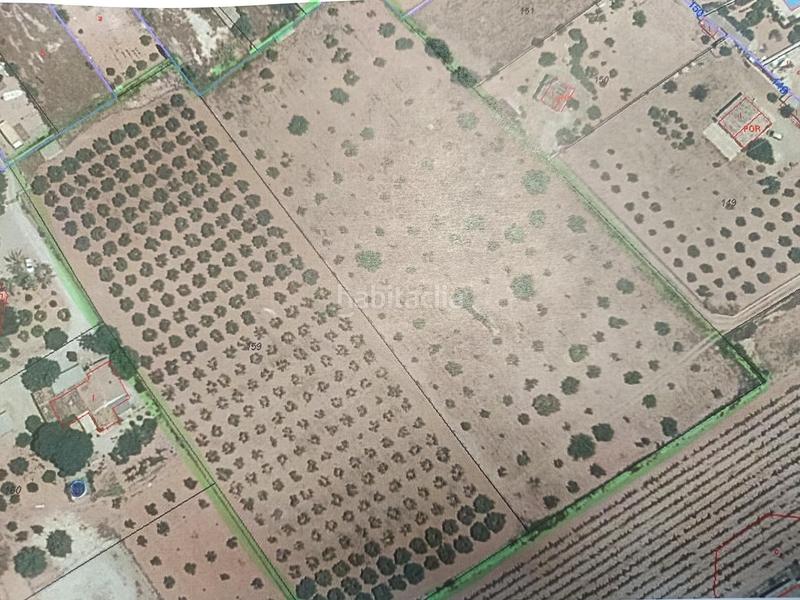 Foto 1281468d-2923-464b-8526-9eb035727046. Finca rústica finca rustica de 17.800m2 en Binissalem