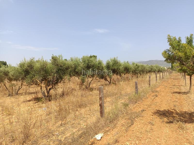 Foto 96128933-7a95-4f8f-b202-f217f131a72c. Finca rústica finca rustica de 17.800m2 en Binissalem