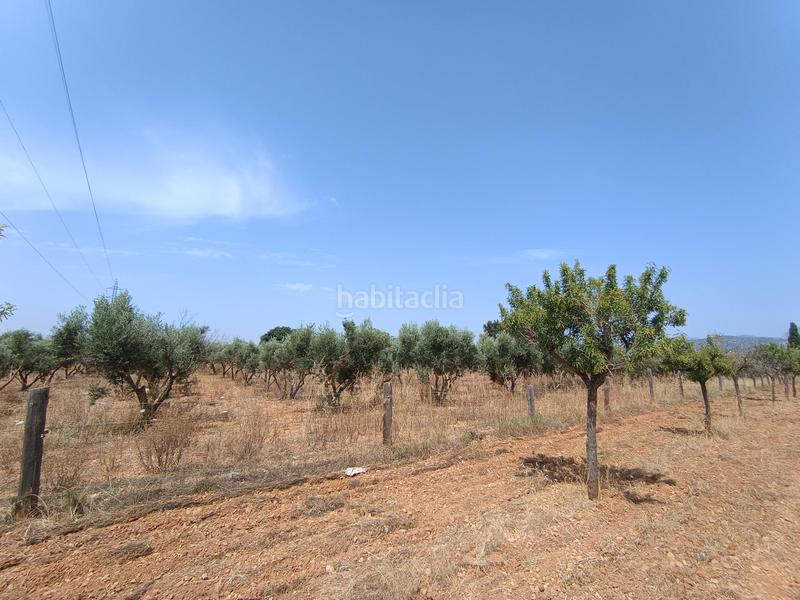 Foto f0c8fe1c-6766-48ae-a194-341b3174b3a3. Finca rústica finca rustica de 17.800m2 en Binissalem