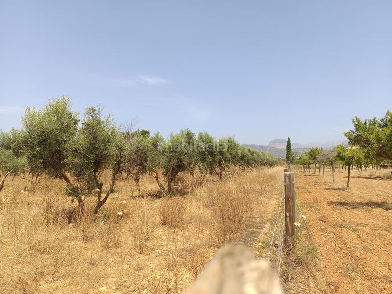 Foto fbf16c78-07e7-4a03-b840-e624d4765d69. Finca rústica finca rustica de 17.800m2 en Binissalem