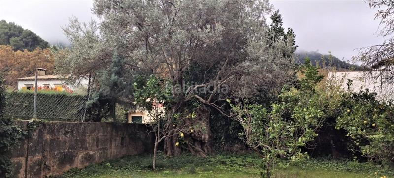 Foto 14627191-e29b-48ae-a655-4eb5b7b68c68. Alquiler chalet  en valldemossa en alquiler temporal en Valldemosa