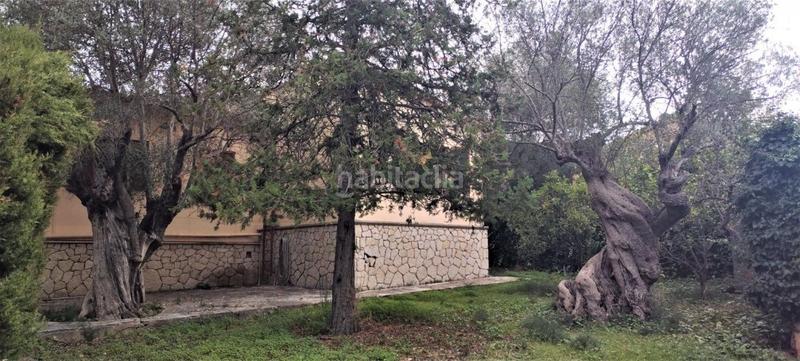 Foto d4ca45de-e25d-4234-a6dd-0c5117a97b6e. Alquiler chalet  en valldemossa en alquiler temporal en Valldemosa