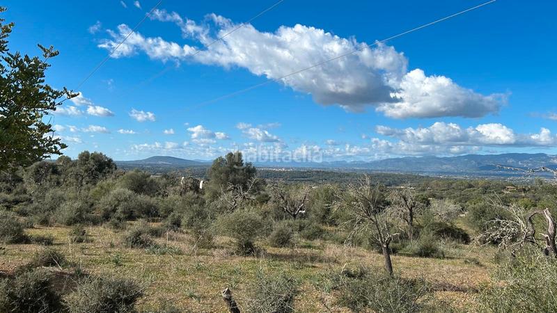 Foto 2631715f-06b1-49d8-8b56-80898b80e0e6. Finca rústica a Costitx