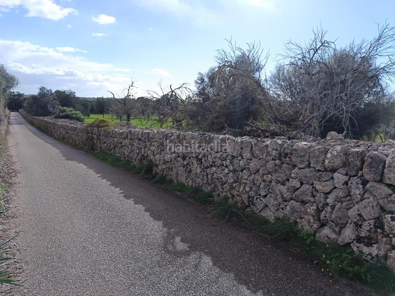 Foto 26c721fc-b27e-43c3-8ca7-d49bd6ca0989. Finca rústica a Costitx