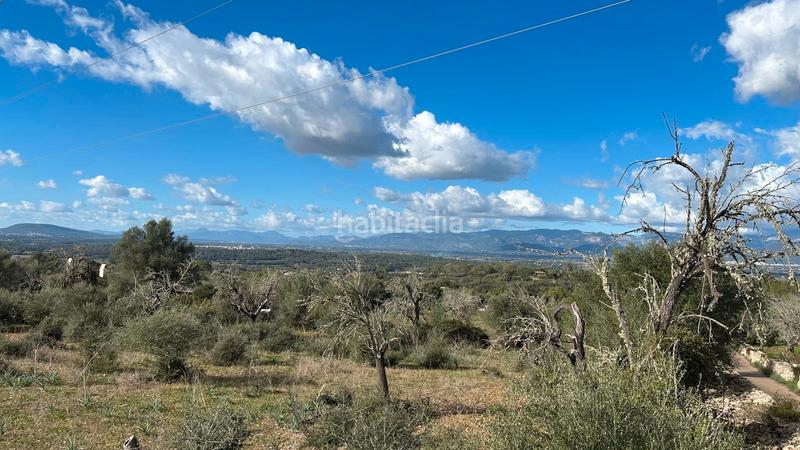 Foto b92f047e-dbdb-43f4-8f09-3dbfdcc8aa2f. Finca rústica a Costitx