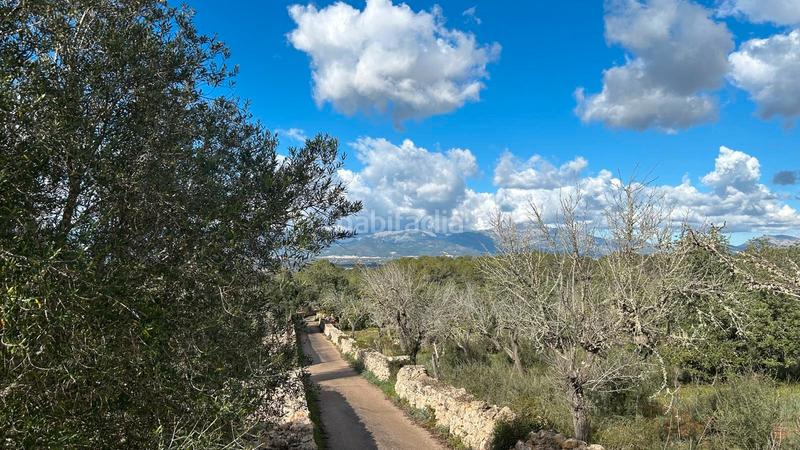 Foto fa938629-4416-4185-b141-0af879b96b20. Finca rústica a Costitx